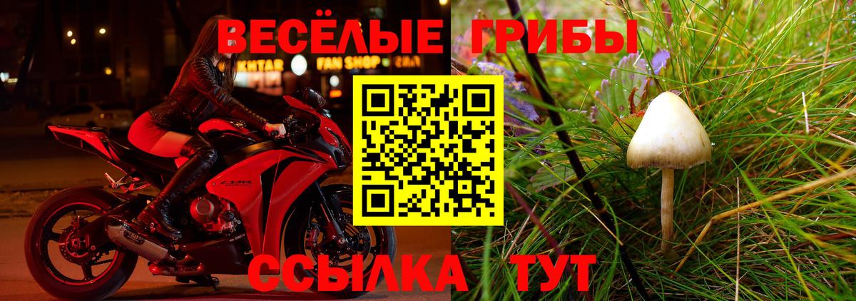 Псилоцибиновые грибы прущие грибы  наркотики  Татарск  Вход с VPN 